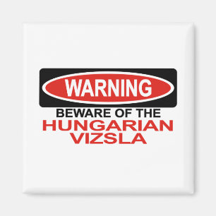 Imán Guárdese del húngaro Vizsla
