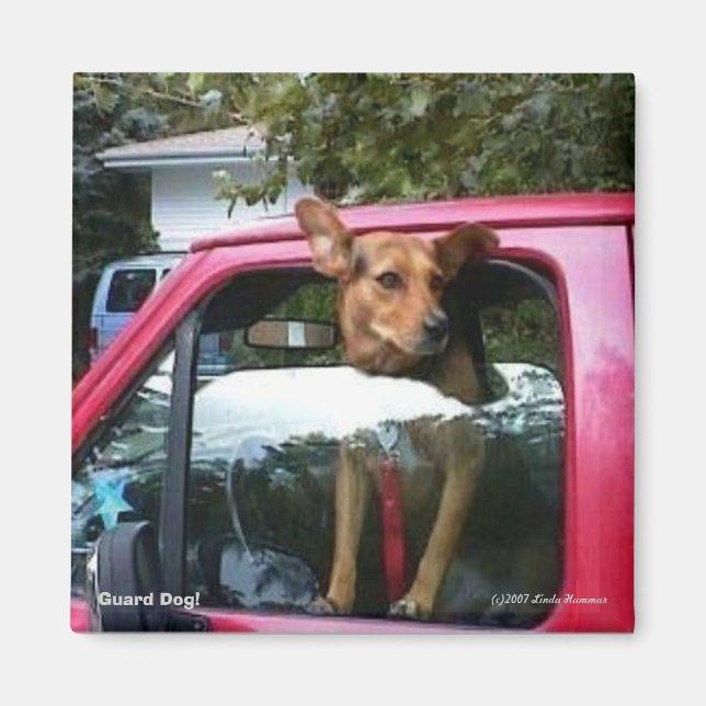 Imán ¡Guardia Perro! (Frente)