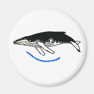 Imán Guay Humpback WHALE - Animal en peligro de extinci