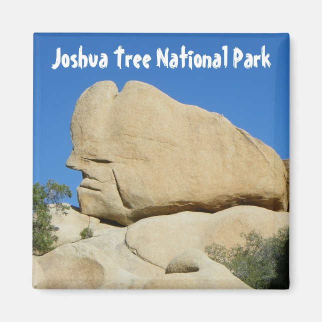 Imán Guay Joshua Tree Park Magnet! (Frente)