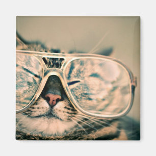 Imán Guay Kitty en gafas sobredimensionadas