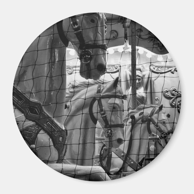 Imán Guay, urbana, moderna foto de caballos de carrusel (Frente)