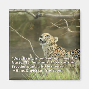 IMÁN GUEPARDO Y MARIPOSA