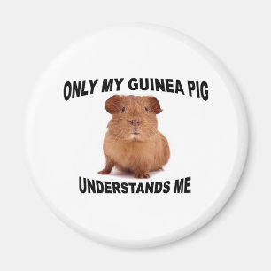Imán GUINEA.jpg