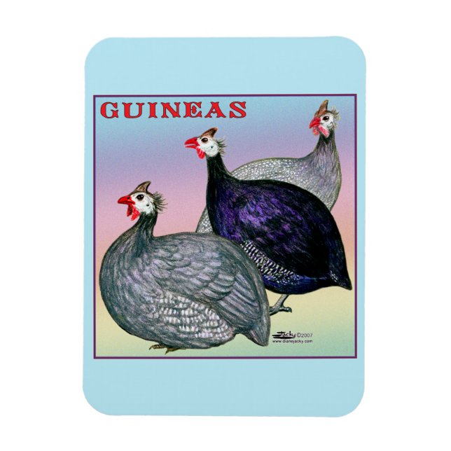 Imán Guineas Three Fowl (Vertical)