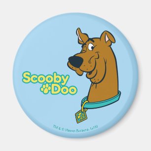 Imán Guiño de Scooby-Doo