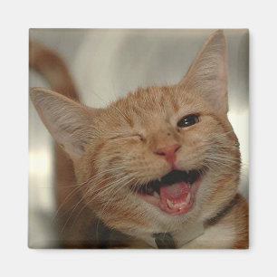 Imán Guiño del gato feliz del jengibre