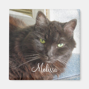Imán Guión blanco personalizado de la foto de un gato