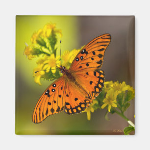 Imán Gulf Fritillary también conocida como Mariposa de 