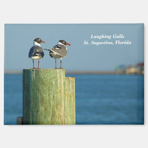 Imán Gulls de reír