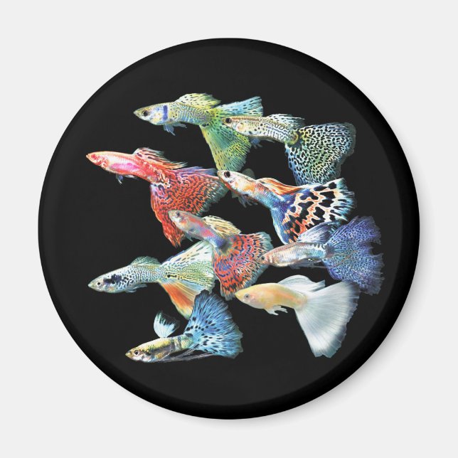 Imán Guppies (Frente)