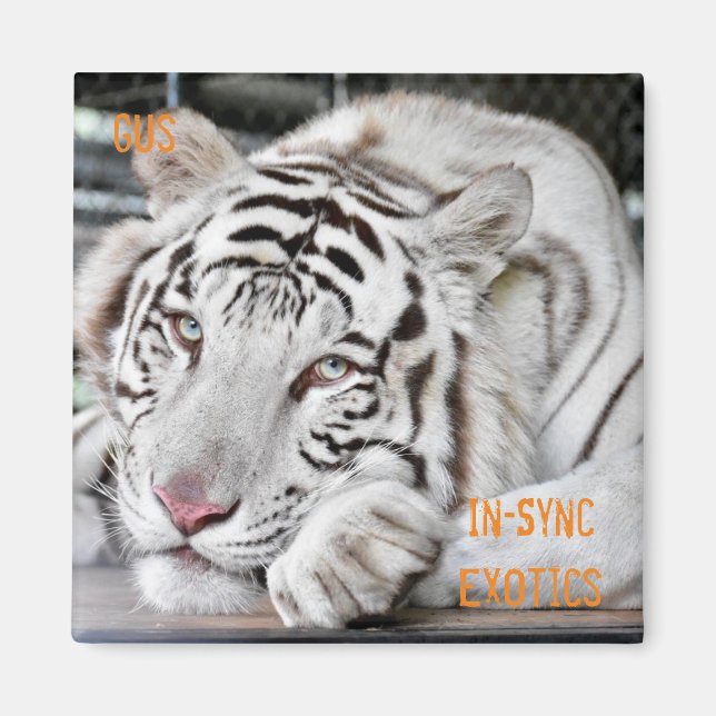 Imán Gus - (Frente)