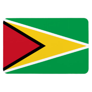 Imán Guyana flag