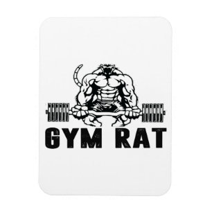 Imán Gym Rat