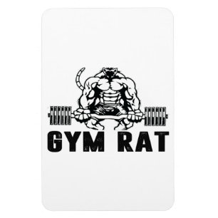 Imán Gym Rat