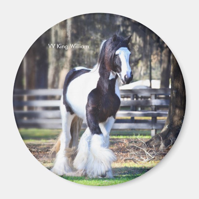 Imán Gypsy Gold King William Magnet (Frente)