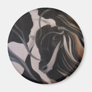 Imán Gypsy Vanner I