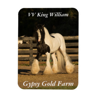 Imán Gypsy Vanner Magnet