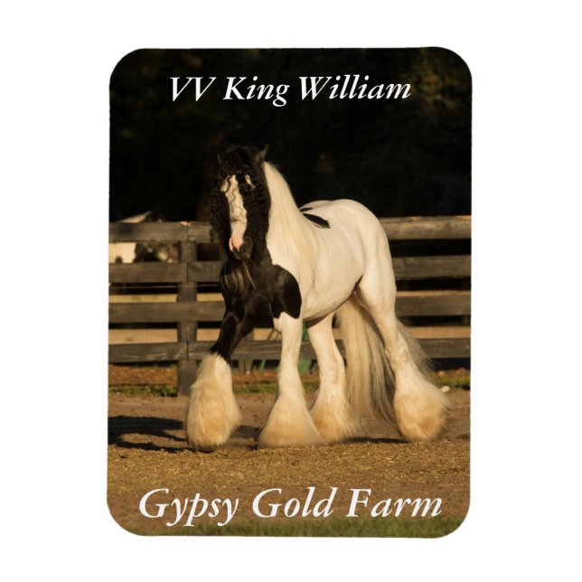 Imán Gypsy Vanner Magnet (Vertical)