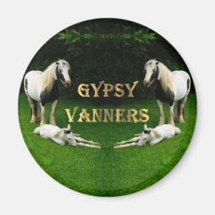 Imán Gypsy Vanners Magnet