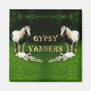 Imán Gypsy Vanners Magnet