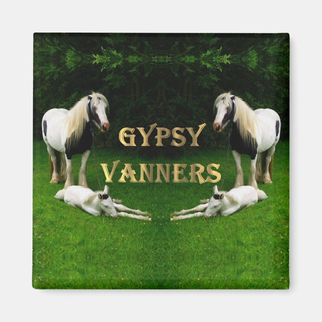 Imán Gypsy Vanners Magnet (Frente)
