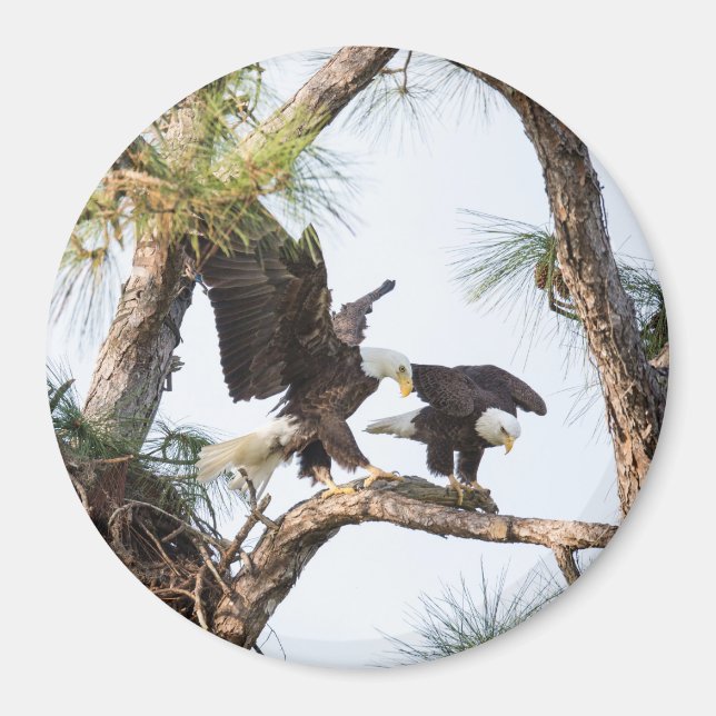 Imán H & M Magnet (Frente)