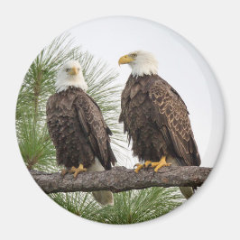 Imán H&O Circle Magnet (Varios tamaños disponibles)