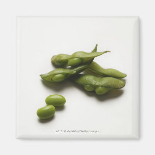 Imán habas verdes múltiples del edamame con la vaina d