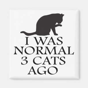Imán hace 3 gatos-yo-era-normal-hace-divertido-gato
