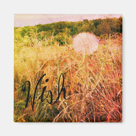 Imán Hacer un deseo