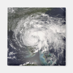Imán Hada tropical 4 de la tormenta