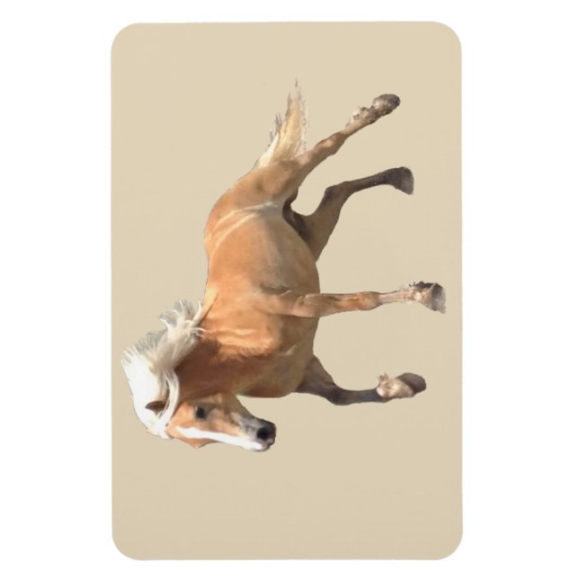Imán Haflinger Horse Magnet. (Vertical)