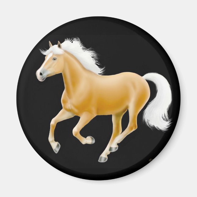 Imán Haflinger Palomino Horse Magnet Black (Frente)