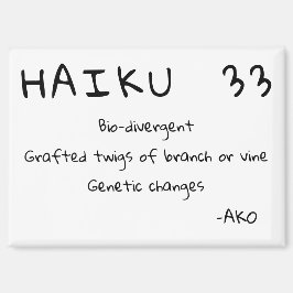IMÁN HAIKU 33