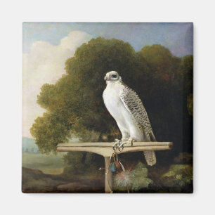Imán Halcón de Groenlandia (halcón gris), 1780 (aceit