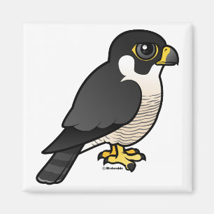 Imán Halcón de peregrino