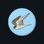 Imán Halcón volador sobre azul<br><div class="desc">Mira este impresionante ilustracion de lápiz de un halcón volador. ¡Mira también mi tienda para más diseños!</div>