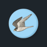 Imán Halcón volador sobre azul<br><div class="desc">Mira este impresionante ilustracion de lápiz de un halcón volador. ¡Mira también mi tienda para más diseños!</div>