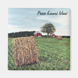 Imán Hale Bales Square Magnet