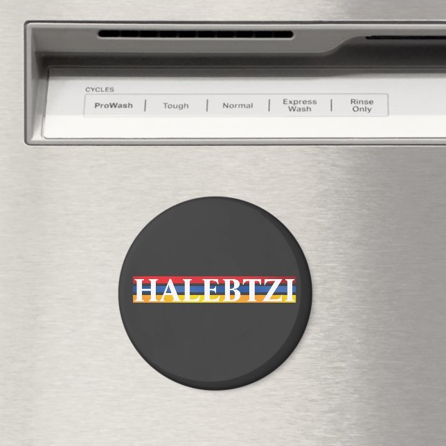 Imán Halebtzi Magnet (In situ (lavavajillas))