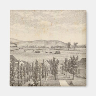 Imán Haley res, granja