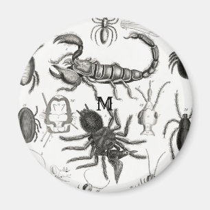 Imán Halloween 2021 Myriapoda Bugs Insects Poster