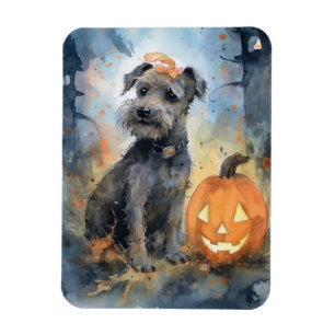 Imán Halloween Chesapeake Bay Terrier con calabazas