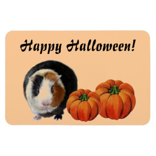 Imán Halloween de Cerdo de Guinea