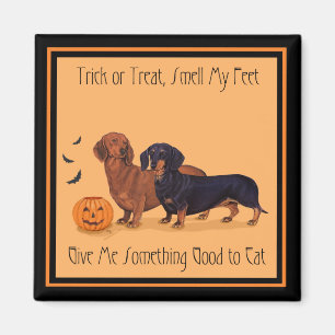 Imán Halloween de dachshunds