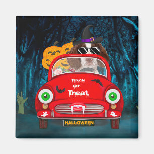 Imán Halloween de miedo en auto de perrito español Spri
