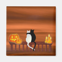 Halloween de velas de calabazas gatos