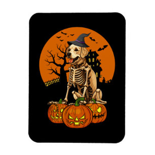Imán Halloween del perro de la recuperación de oro