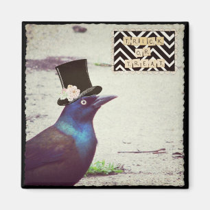Imán Halloween Grackle